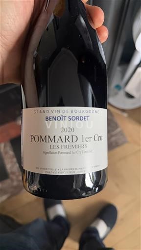 Bourgondië Niet gespecificeerd Premier Cru Benoît Sordet Les Fremiers 2020