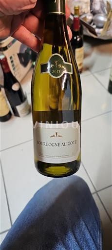 Burgundi Bourgogne Aligoté Le Versant 2017