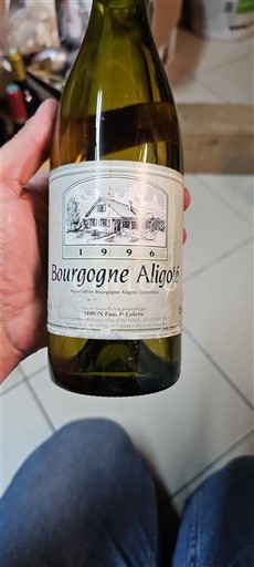 Burgundi Bourgogne Aligoté Simon 1996
