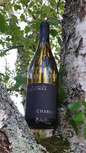 Burgundija Chablis Céline & Romain Poulet 2019