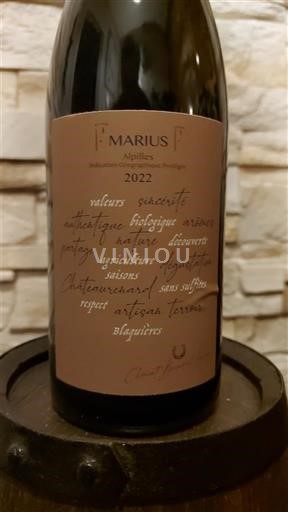 Alpe in reke Rona Alpilles Marius Alpilles 2022