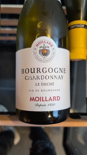 Burgundi Bourgogne Chardonnay Moillard Le Duché Ei vuosikertaa