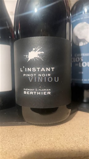 Valea Loarei Nespecificat Clément & Florian Berthier L'Instant Pinot Noir 2023