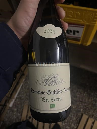 Bourgondië Mâcon en mâcon-dorpen Domaine Guillot-Broux En Serre 2024
