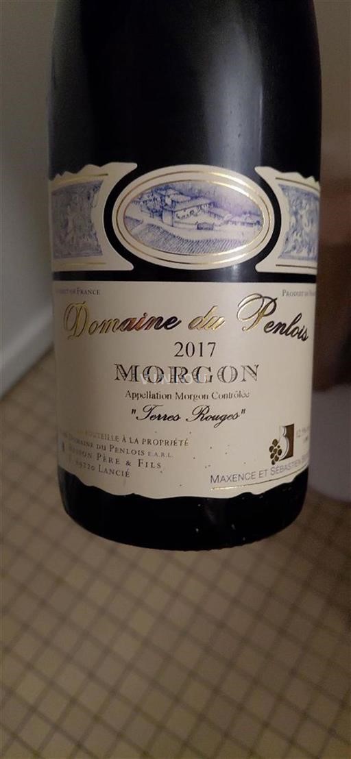 Beaujolais Morgon Domaine Penlois Terres Rouges 2017