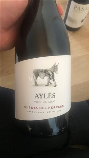 Aragón Niet gespecificeerd Aylés Cuesta del Herrero 2020