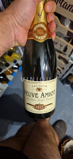 Vale do Loire Saumur Veuve Amiot Não Sazonado