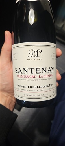 Borgogna Santenay Premier Cru Domaine Louis Lequin & Fils La Comme 2022