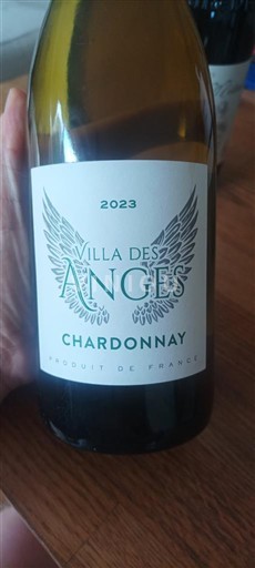 Vin Blanc sec Villa des Anges 2023 France Languedoc et Roussillon Pays d'oc IGP