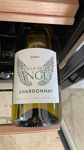 Лангедок и Русијон Окситански регион Villa des Anges 2023