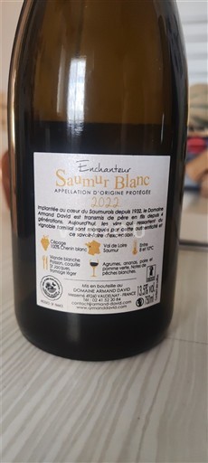 Vin Blanc sec Enchanteur Domaine Des Hauts de Sanziers 2022 France Vallée de la Loire AOC