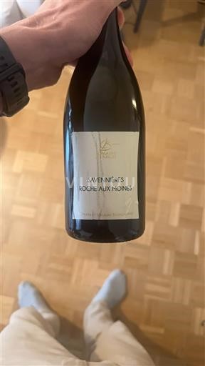 Loire Valley Savennières-Roche-aux-Moines Domaine Des Forges 2022