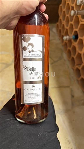 Vallée du Rhône Côtes-du-rhône Castorelle Belle de Vigne 2023
