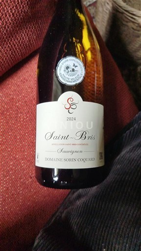 Borgonha Saint-Bris Domaine Sorin Coquard Sauvignon 2024