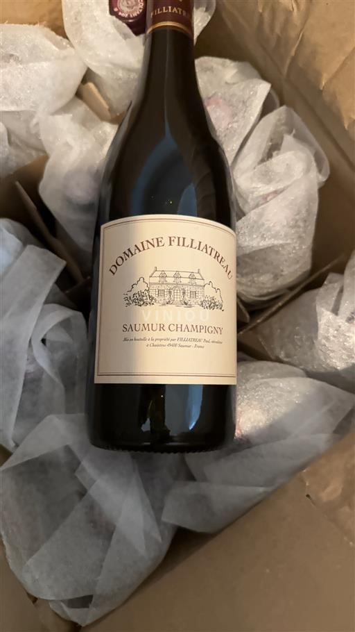 Valle della Loira Saumur-Champigny Domaine Filliatreau 2022