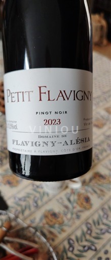Bourgogne Domaine Flavigny-Alésia Petit Flavigny 2023