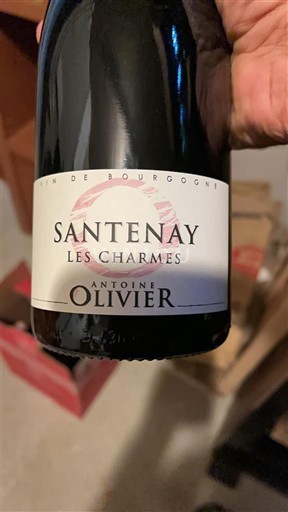 Burgund Santenay Antoine Olivier Les Charmes 2021