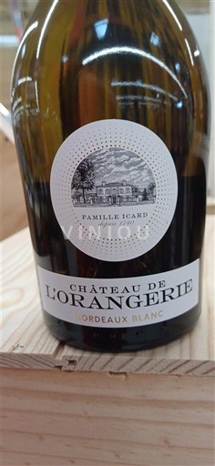 Bordeaux Bordeaux valkoviini Château L'Orangerie 2024