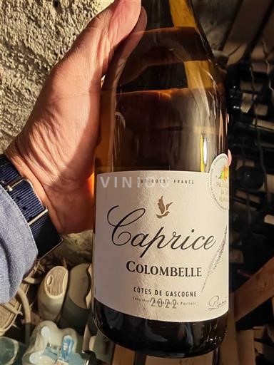 Tây Nam Côtes de Gascogne Colombelle Caprice 2022