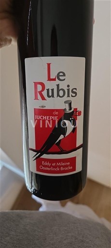 Vallée de la Loire Coteaux-du-layon Domaine Juchepie Le Rubis Non Millésimé