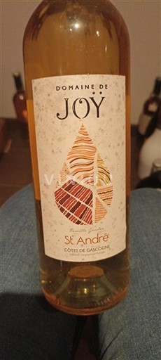 Tây Nam Côtes de Gascogne Domaine Joy St. André 2020