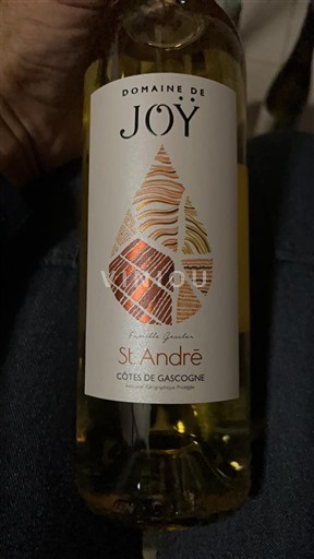 Zuidwest-Frankrijk Côtes de Gascogne Domaine Joy St. André 2020
