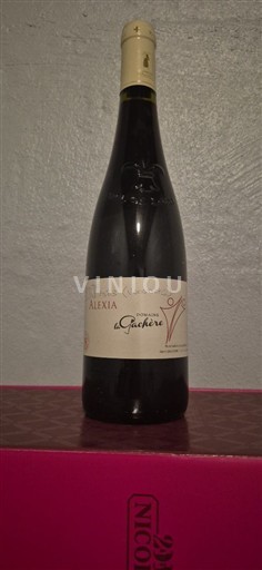 Vin Rouge sec Alexia Domaine Lemoine 2021 France Vallée de la Loire Anjou AOC