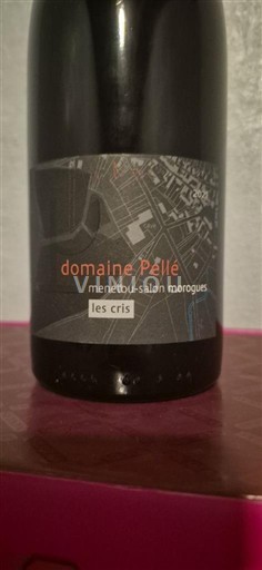 Thung lũng sông Loire Menetou-salon Domaine Pellé Les Cris 2021