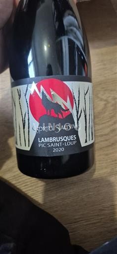 Languedoc Pic-saint-loup Esprit Sauvage Lambrusques 2020