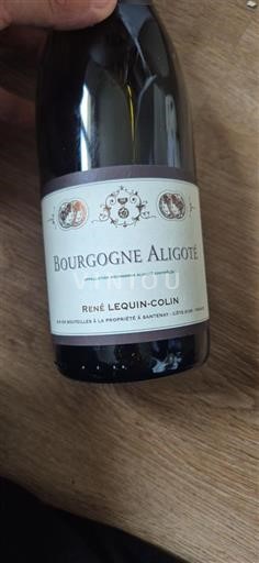 Borgogna Borgogna Aligoté René Lequin-Colin 2021