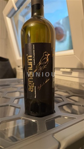 Campania Wines Campi Flegrei Agnanum 2020