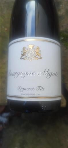 Burgundsko Bourgogne-aligoté Pigneret Fils Neročník