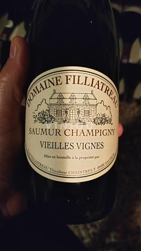 Vallée de la Loire Saumur-champigny Domaine Filliatreau Vieilles Vignes 2021