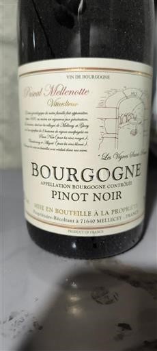 Burgundi Bourgogne Pascal Melinnotte Les Vignes Oubliées 2023