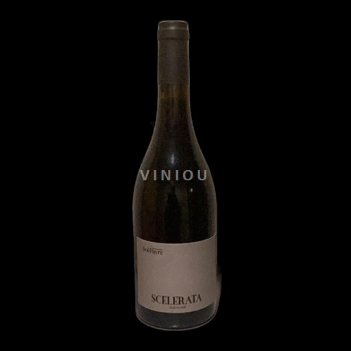 Roussillon Côtes-du-Roussillon Domaine Sol Payré Scelerata 2016