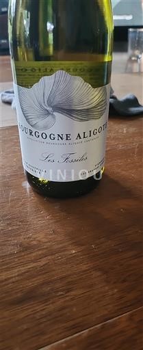 Bourgondië Bourgogne Aligoté Domaine Des Gandines Les Fossiles 2024