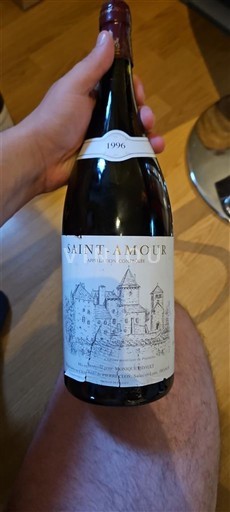 Beaujolais Saint-Amour Château Pierreclos 1996