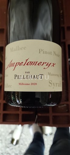 Tây Nam Côtes de Gascogne Pellehaut Ampelomeryx 2020