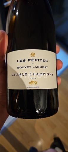 Thung lũng sông Loire Saumur-champigny Bouvet Ladubay Les Pépites 2023