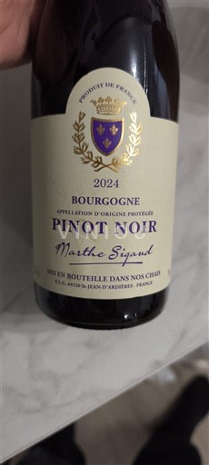 Burgundi Bourgogne Marthe Signaud 2024