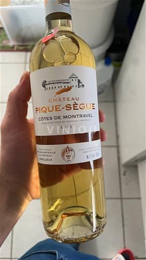 Sud-Ovest Côtes-de-montravel Château Pique-Sègue 2015