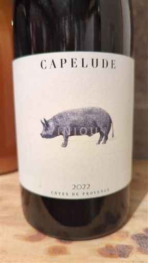 Provansa Côtes-de-Provence Capelude 2022