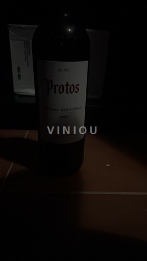 Castiglia e León Ribera del Duero Protos Cosecha 2023