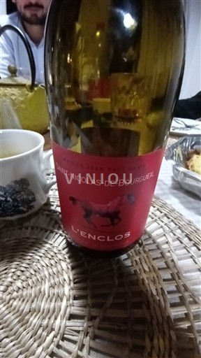 Valle del Loira Saint-Nicolas-De-Bourgueil Domaine Jean-Paul Sauvé L'Enclos Sin añada