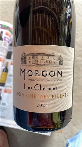 Beaujolais Morgon Domaine Des Pillets Les Charmes 2024