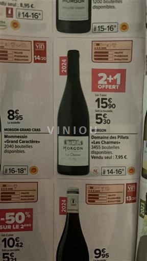 Beaujolais Morgon Domaine Des Pillets Les Charmes 2024