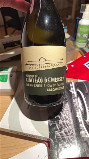 Bourgondië Mâcon en mâcon-dorpen Domaine De Messey Calcaire 2023