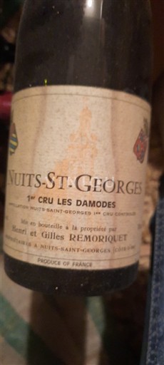 Bourgogne Nuits-saint-georges Premier Cru Henri et Gilles Remoriquet Les Damodes 1992