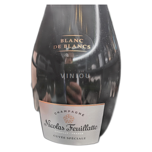 Champagne Nicolas Feuillatte Spéciale Non-Vintage