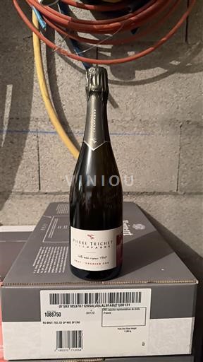 Champaña Champán Pierre Trichet Les 3 Puys Brut Sin añada